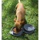 Plato doble compartimiento para alimento de mascotas cap de 250 ml