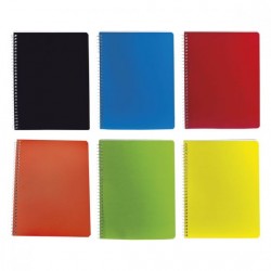 Cuaderno profesional de raya varios colores