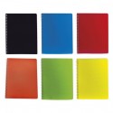 Cuaderno profesional de raya varios colores