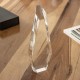Trofeo reconocimiento ideal para un recuerdo memorable