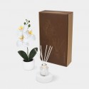 Set decorativo Fiora de plástico