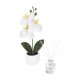 Set decorativo Fiora de plástico