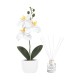 Set decorativo Fiora de plástico