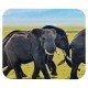 Mouse pad rectangular varios colores de poliuretano