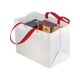 Bolsa Delivery color blanco